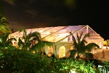 You have here a Schreiber clearspan structure with transparent roof which enables to admire palms from inside